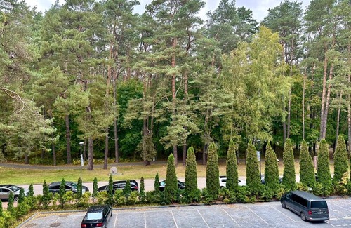Birstonas Apartment | Naujai įrengti pušyno apartamentai - bekontaktis įėjimas