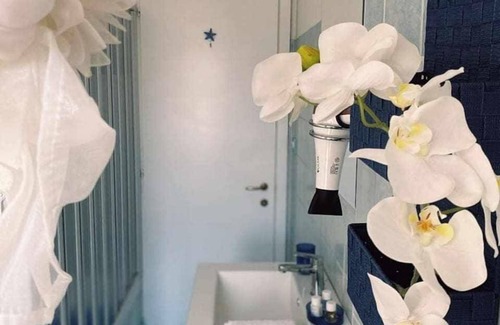 Nettuno Apartment | NB B&B Apartments
