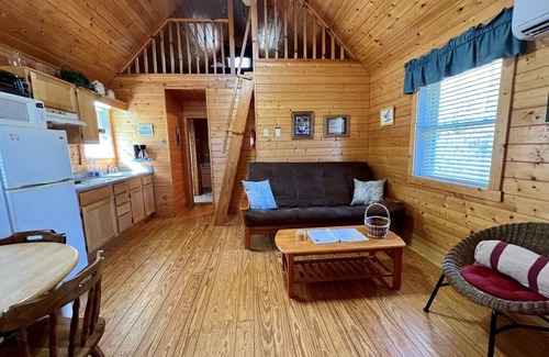 Laurel Springs Cabin | Near Blue Ridge Parkway, Pet Friendly Cabin w/WIFI & Pond Views, Gas Frpl
