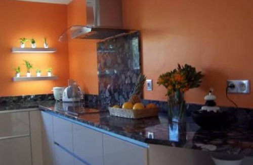 Saint-Jean-de-Cornies House | Near the sea and montpellier, house with large pool surrounded by olive trees