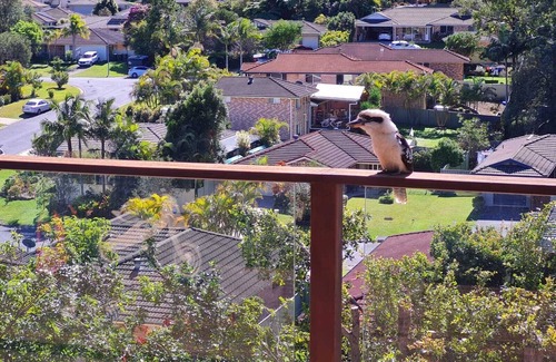Coffs Harbour Apartment | Neat 1 Bedroom apartment with Mountain Views