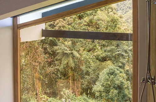 Tulipe Bed & Breakfast | Neblina Bird