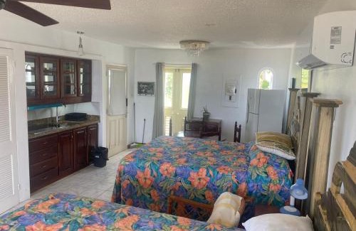 Orange Bay Apartment | Negril beachfront oceanview studios 164 & 145