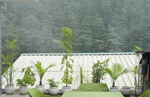 Shimla Apartment | Neha Homestay