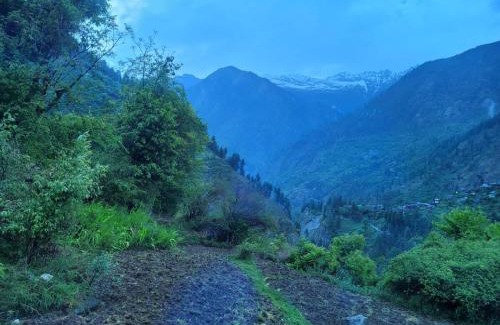Kullu Apartment | Neha's Place