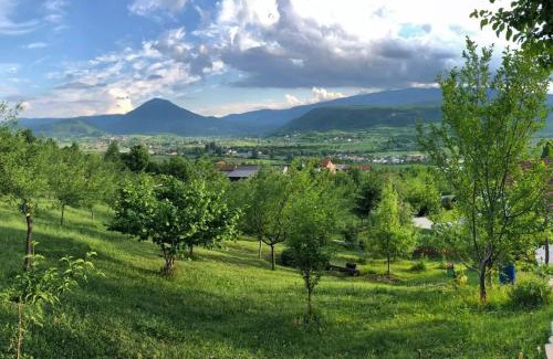 Mali Radic Villa | Nektar Park Villa Sara