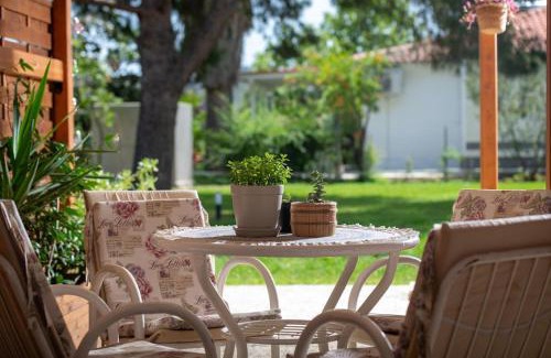 Sikia House | Nerium - Golden Fig Sykia lodge