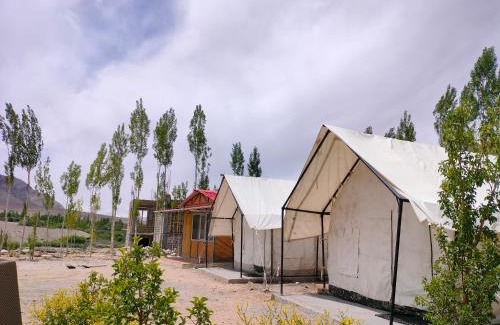 Ladakh Resort | Neryok's Indus view