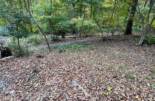 Blacksburg Cabin | Nest in the Woods: New cabin with stunning views of Paris Mountain. 5 min. to VT