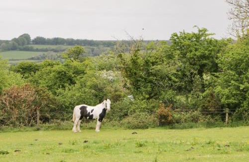 Mary Tavy House | Nestling Barn