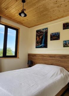 Lagodekhi House | Netara