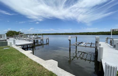 Nettles Island Other | Nettles Island 0388
