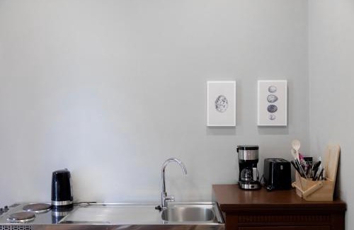 Muritz Apartment | Neu möbliertes 1 - Zimmerapartment mitten in der Natur