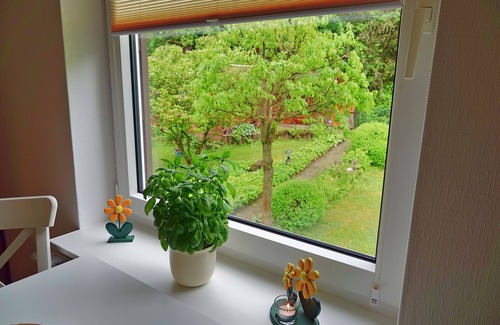 Walkenried Apartment | Neu Renovierte Ferienwohnung