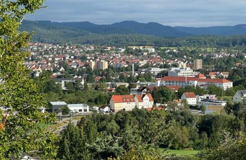 Balingen Apartment | Neue ruhige Penthauswohnung-Albblick Balingen