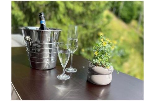 Furtwangen Boat Rental | Neukirch Southern Black Forest