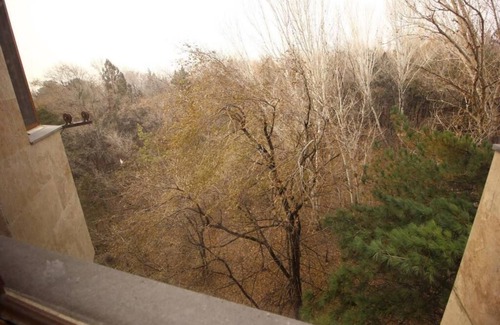 Arabkir Apartment | New and cozy apartment near Yerevan city center with all amenities.