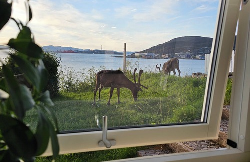 Hammerfest Apartment | New and modern, with a view. By the city center.