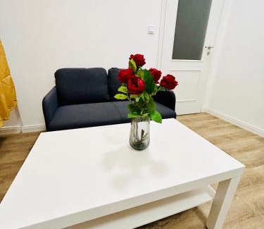 Petrska ctvrt Apartment | New Apartments Complex Prague Florenc