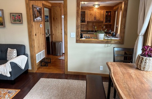Conifer Cabin | New! Aspen will turn soon! 1 hr from DIA! Gas firepit & Wifi