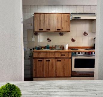 Downtown Queretaro Apartment | New Bamboo Los Alamos Business & Downtown