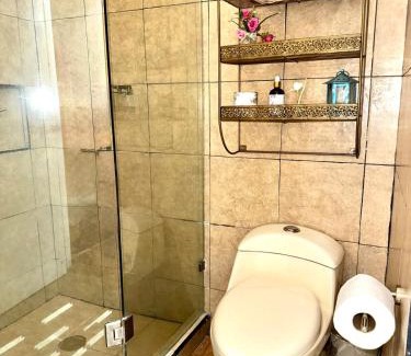 Downtown Queretaro Apartment | New Bamboo Los Alamos Business & Downtown