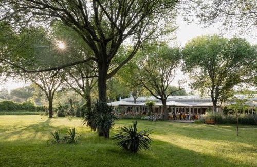 Cavallino-Treporti Other | New Campsite in Camping Ca' Savio
