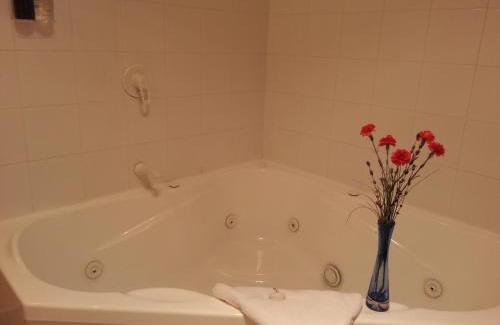 Rotorua Hotel | New Castle Motor Lodge