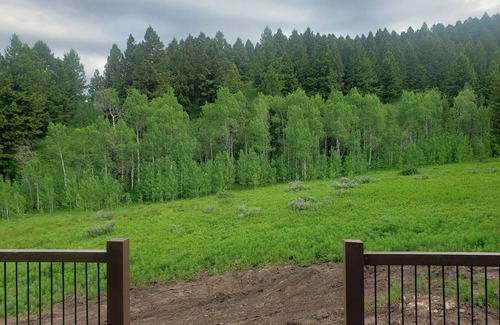 Island Park Cabin | New construction, hot tub, 12 miles to Yellowstone, WiFi, AC, firepit,