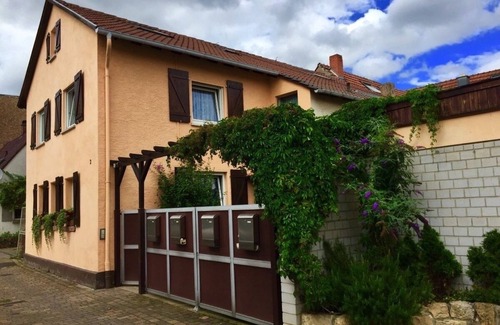 Neustadt-Lachen-Speyerdorf Apartment | NEW since January 2015: Apartment with a sunny courtyard, garden and pool