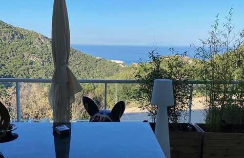 Ville-di-Pietrabugno Apartment | New fully-equipped apartment on the heights of bastia between sea and mountains