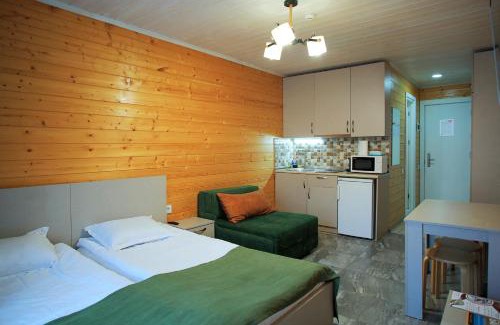 Kazbegi Apartment | New Gudauri Loft 1