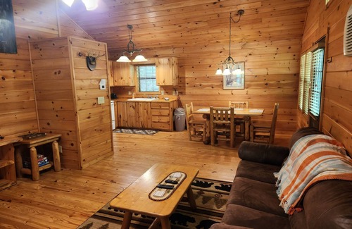 Helen Cabin | NEW HOTTUB! 1/4/25 Walk to town, EV Charger, In the Woods