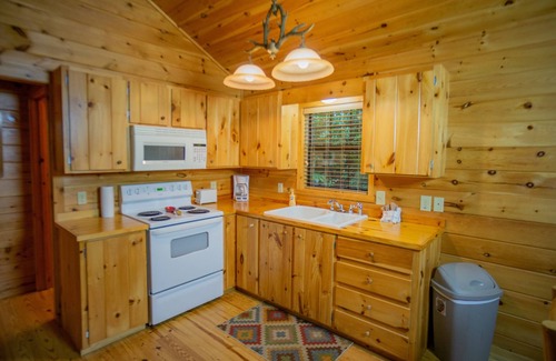 Helen Cabin | NEW HOTTUB! 1/4/25 Walk to town, EV Charger, In the Woods