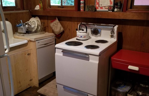 Brightwood Cabin | NEW! Judy's Vintage Mt. Hood Cabin. Kid, dog-friendly. Hi speed Wi-fi.