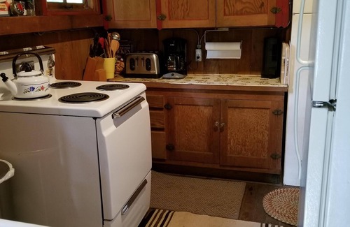 Brightwood Cabin | NEW! Judy's Vintage Mt. Hood Cabin. Kid, dog-friendly. Hi speed Wi-fi.