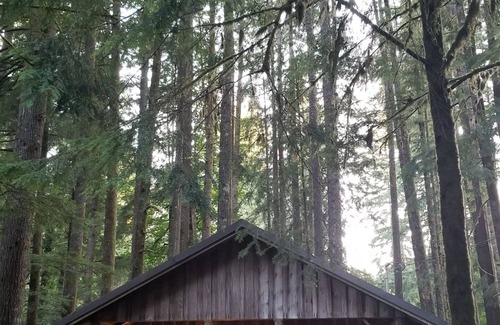 Brightwood Cabin | NEW! Judy's Vintage Mt. Hood Cabin. Kid, dog-friendly. Hi speed Wi-fi.