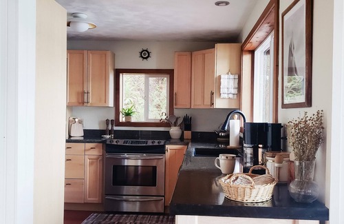 Sudden Valley Cabin | *NEW* Lakefront Cabin with Boat Dock