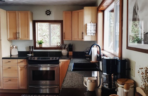 Sudden Valley Cabin | *NEW* Lakefront Cabin with Boat Dock
