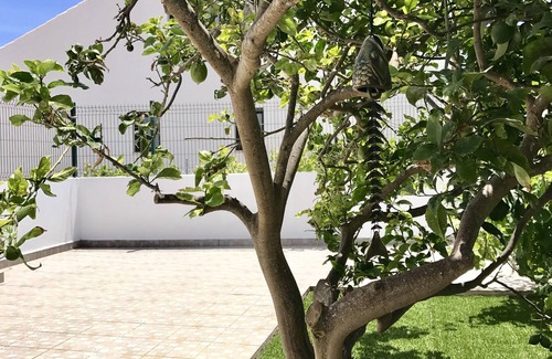 Sagres House | *NEW LISTING* Sagres House - Large patios, free wifi, cableTV, private parking