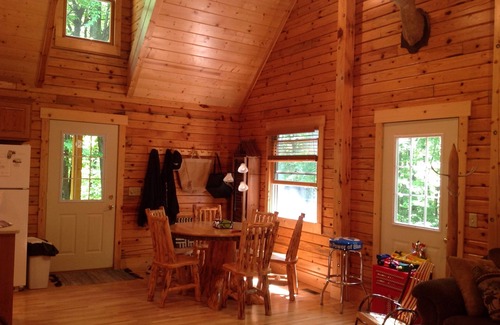 Mears Cabin | New Log Cabin On 3 Wooded Acres, Outdoor Shower, Lake Michigan, Air-Conditioned