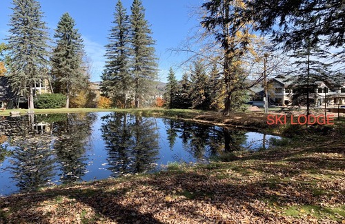 Windham House | "NEW"LUXURY SKI-IN SKI-OUT ALPINE CHALET at WINDHAM MOUNTAIN...WEDDINGS WELCOME