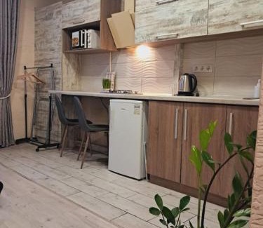 Kosuv Stary Apartment | New modern apartments in the center