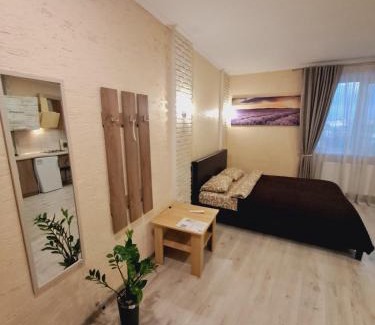 Kosuv Stary Apartment | New modern apartments in the center