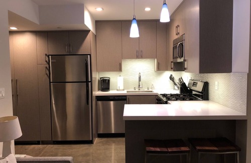 Carlsbad Village Apartment | New Modern Beach Apartment