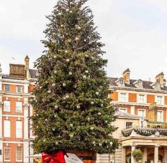Covent Garden Apartment | New Modern Hybrid 4 Bedrooms 7 Bed apartment 12 guest capacity