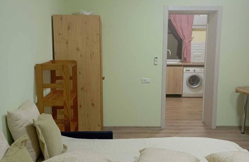 Tiraspolul Nou Other | New nice house
