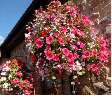 Penally House | New Overlander Inn