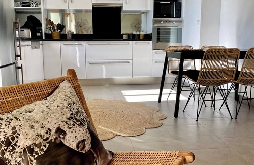 Pinarellu Apartment | NEW! Porto Vecchio PINARELLO residence with swimming pool accommodation 600 m beach