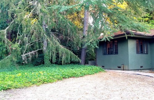 Ladera Apartment | New! Quiet Studio. Private Entrance. Parking. WiFi. Laundry. Near Stanford.